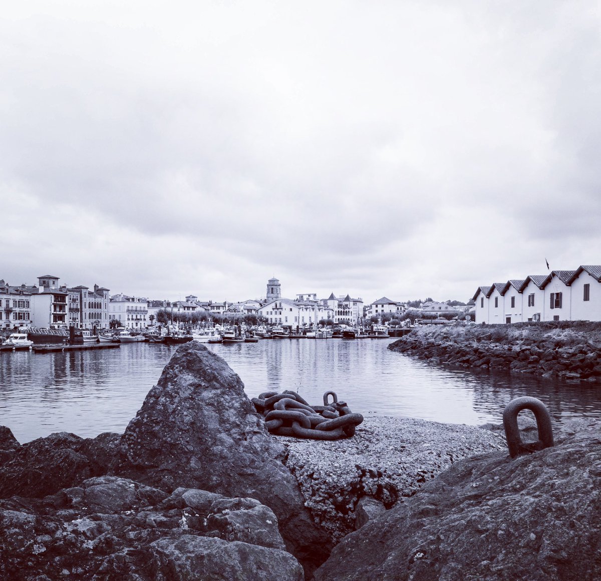 TUPINIER Arnaud tweet media