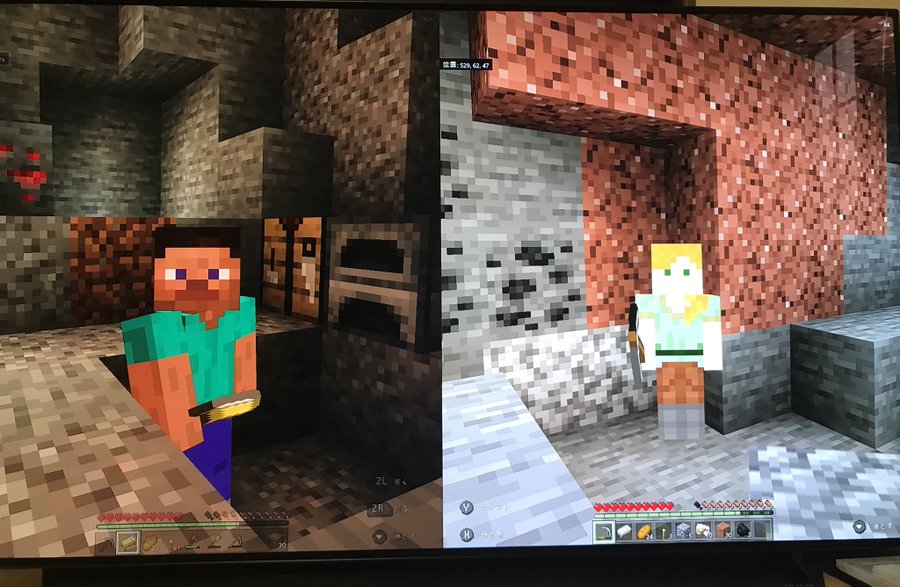 マイクラスイッチが重い時の対策は エリトラの読み込みが遅い原因は