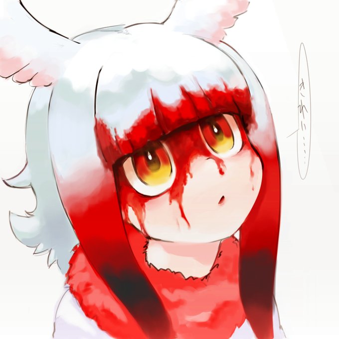 今わの際がおそらがきれいなトキちゃんです 