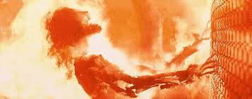 Disclaimer: This is a classroom activity <a href="/JoelMJacob90/">Joel M. Jacob</a> 
Hope my msg reaches you. In a jiffy, It's all chaotic here. It's burning everywhere!! Devastated buildings. Destruction everywhere! Someone save us! It's scary!!!
# anti-aliensena @ nodtv @ democracy @ timeisnow 
#MAMCSMJ21