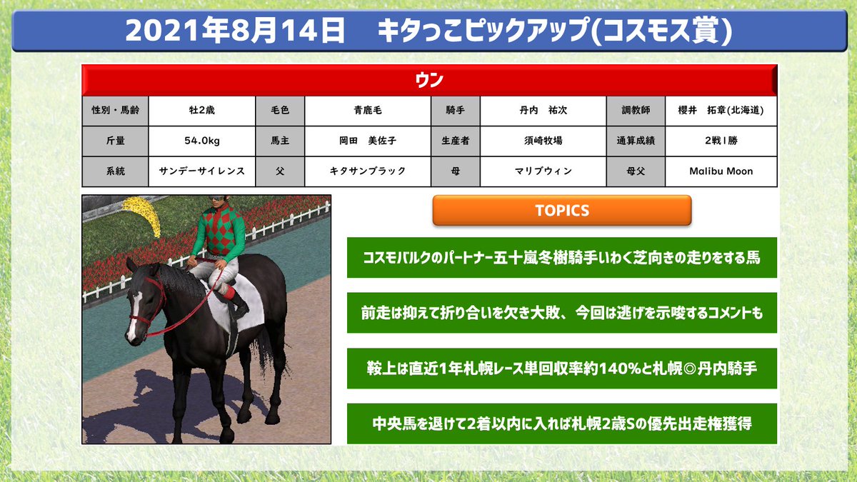 主にキタサンブラック産駒 Min T ミント