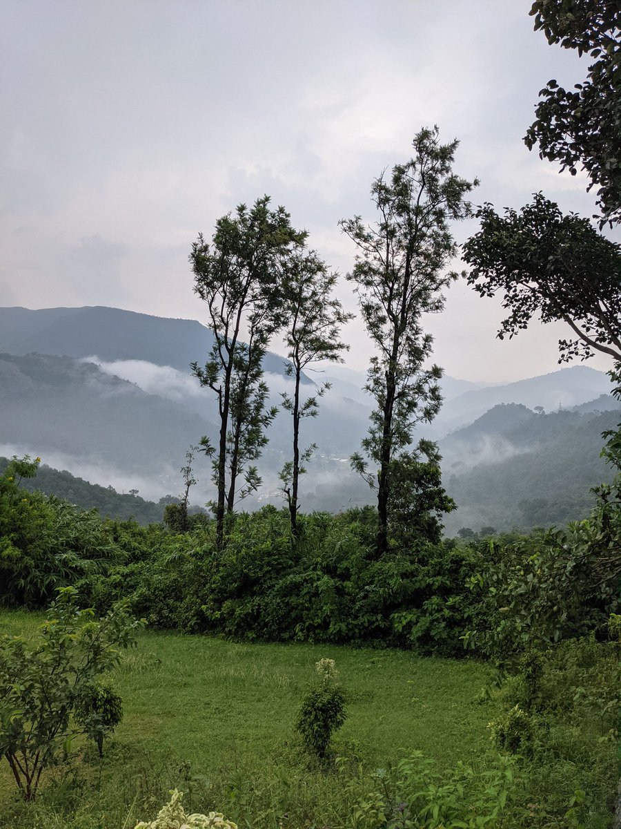 #AnanthagiriHills near #Araku