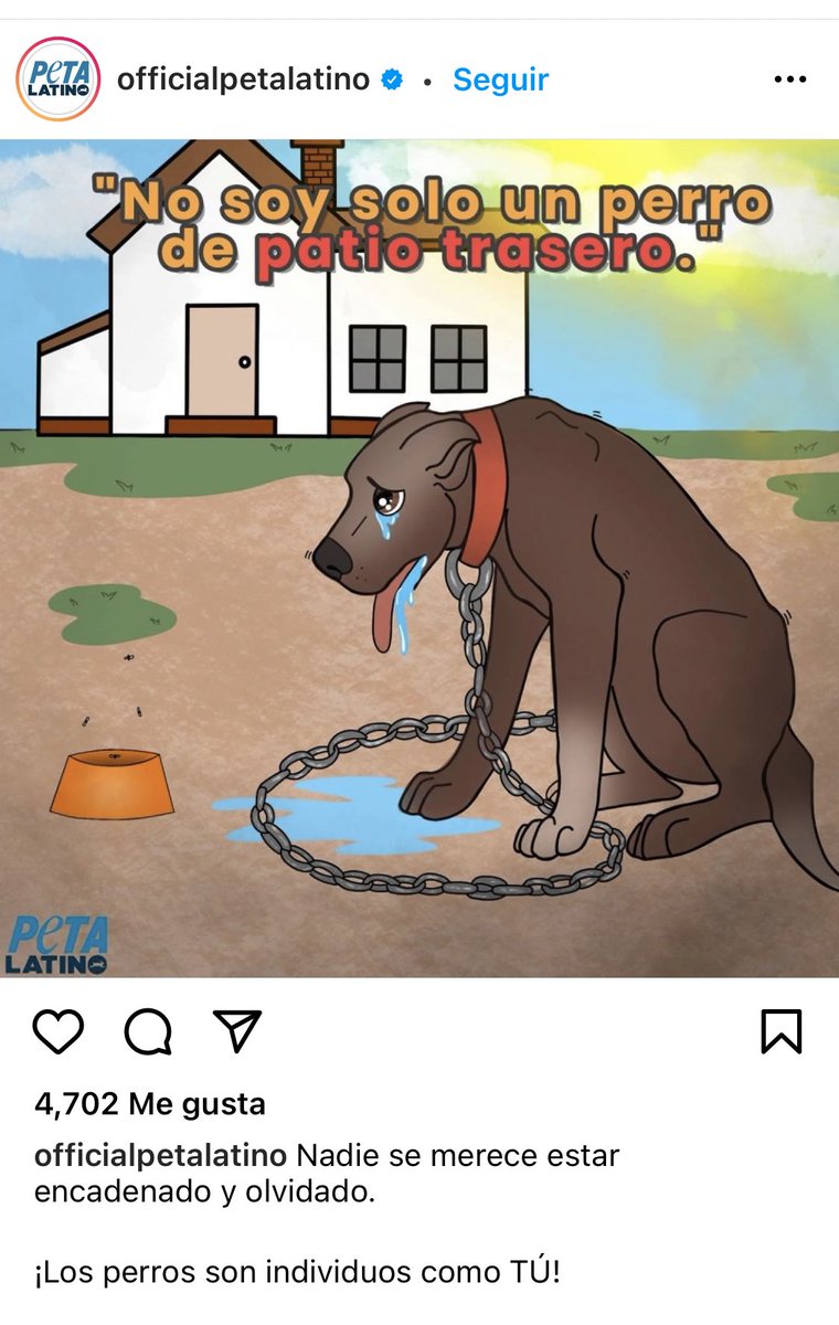 MASCOTASDECALLE's tweet image. “Nadie se merece estar encadenado y olvidado” por favor difunde un mensaje a tu vecino, a tu conocido, tu familia. Tener un animalito abandonado en un techo, patio, es cruel, inhumano. Mejor déjalo libre, búscale un nuevo hogar, suéltalo. No más crueldad