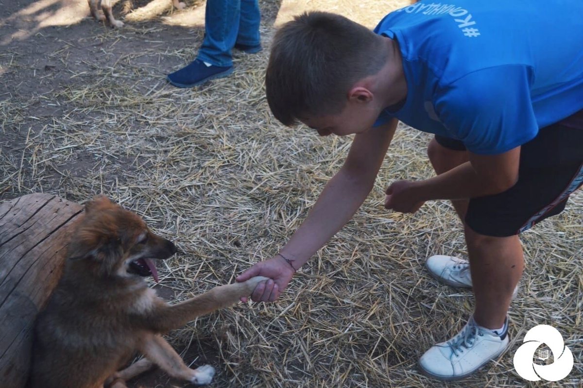 Активисы Тольяттинсого Отделения РДШ снова и снова дарят добро этому миру!❤
 В этот раз ребята отправились в приют для животных "Добрый Дом" с подарками для братьев наших меньших!
А помогла нам развозить подарки наш дорогой друг, Ирина Долгополова - активист акции #МыВместе 🕊