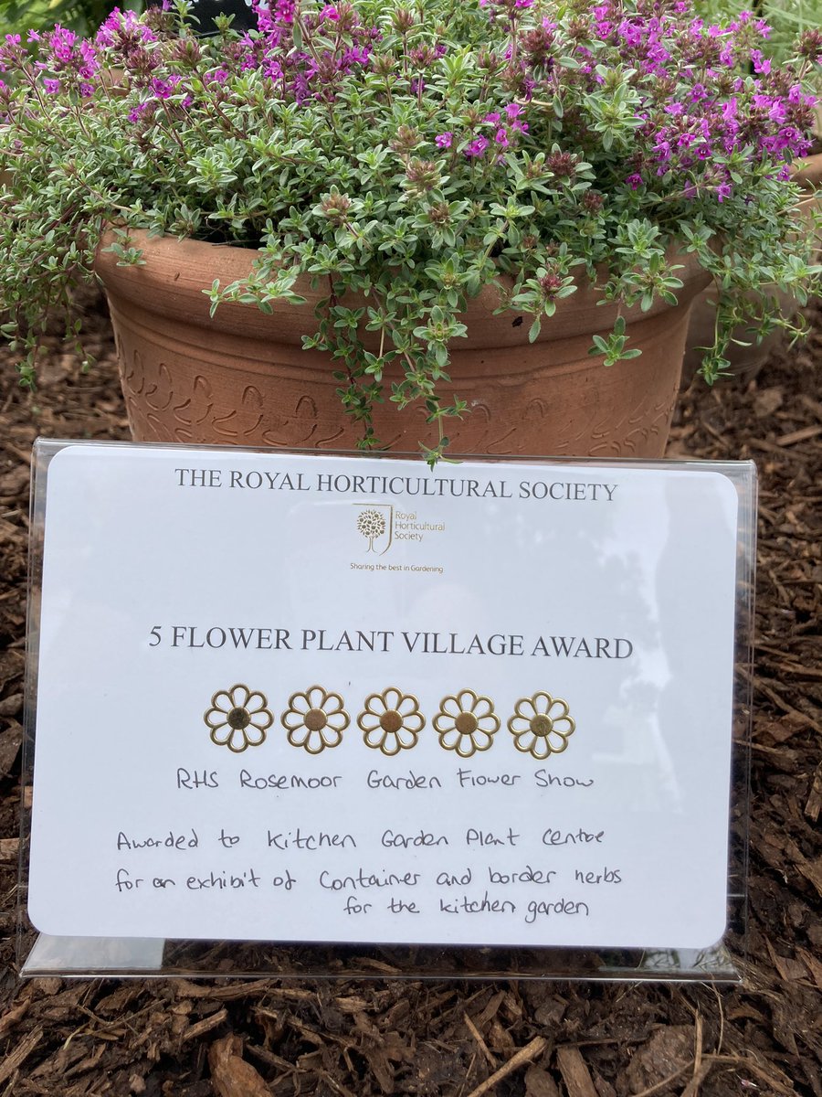 SowMeGrowMe's tweet photo. Very proud to achieve a 5 star plant village award. #Horticulture #herbs #rhsshows https://t.co/L7huBLotJf
