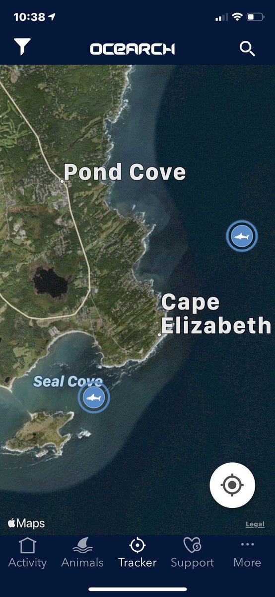 Might be a nice day at the beach but not sure I’d be swimming today in this area. White sharks swimming on either side of Two Lights.