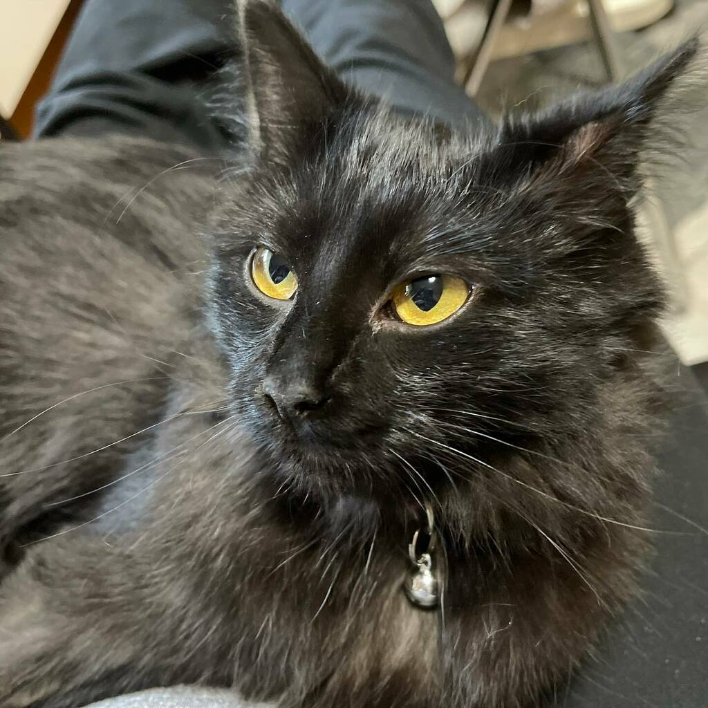 Quality lap time ☺️ instagr.am/p/CShFEu2gJPZ/