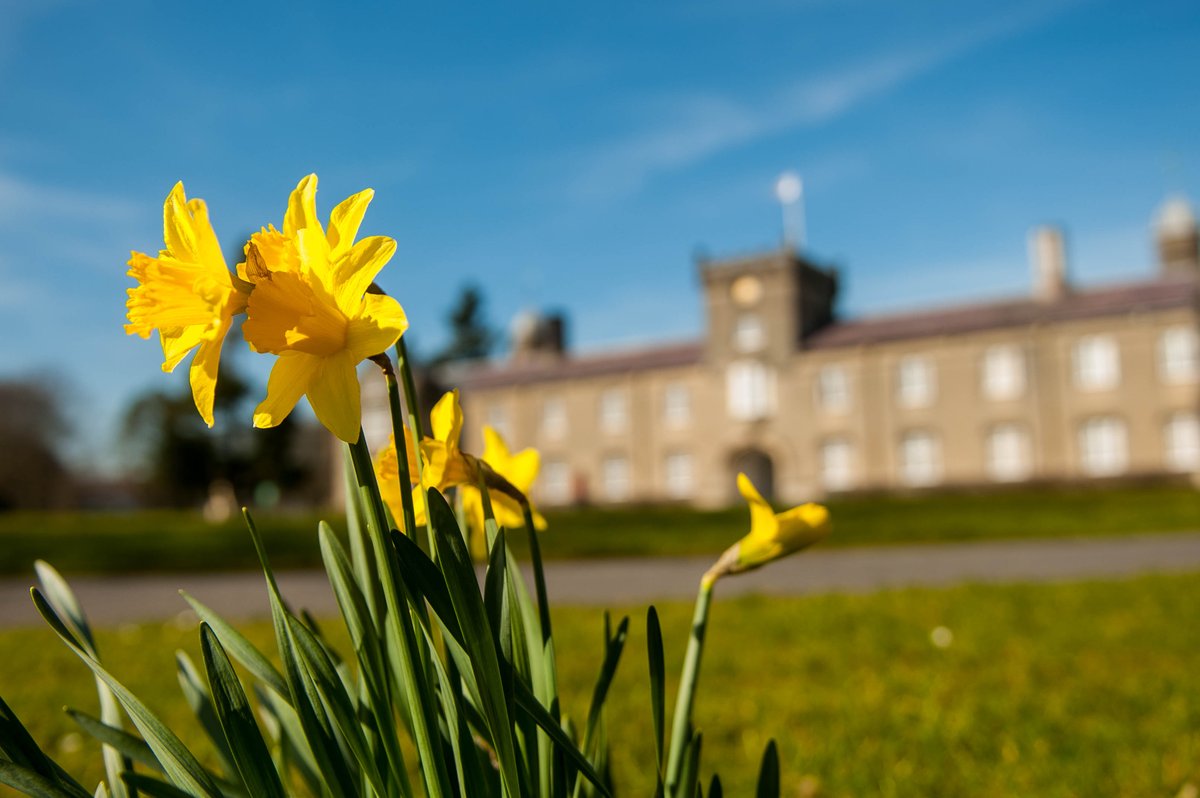 "Where higher education began in Wales."

Study History, Ancient Civilisation, Ancient History, Archaeology, Classical Civilisation, Classics, Conflict &amp; War, Heritage, Medieval History &amp; more <a href="/UWTSDLampeter/">Lampeter<a href="/UWTSD/">University of Wales Trinity Saint David</a></a>. 

Apply:
bit.ly/3iNcpHL 

#Clearing
#YourTimeToLearn @UWTSD