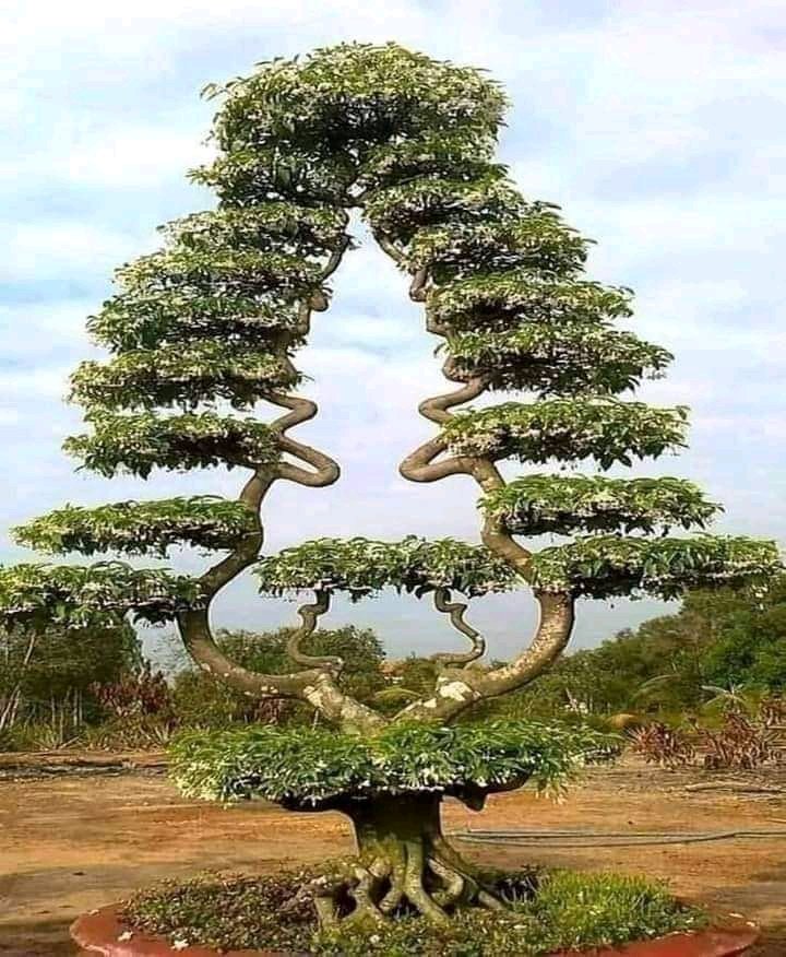 sujeet_new's tweet image. 