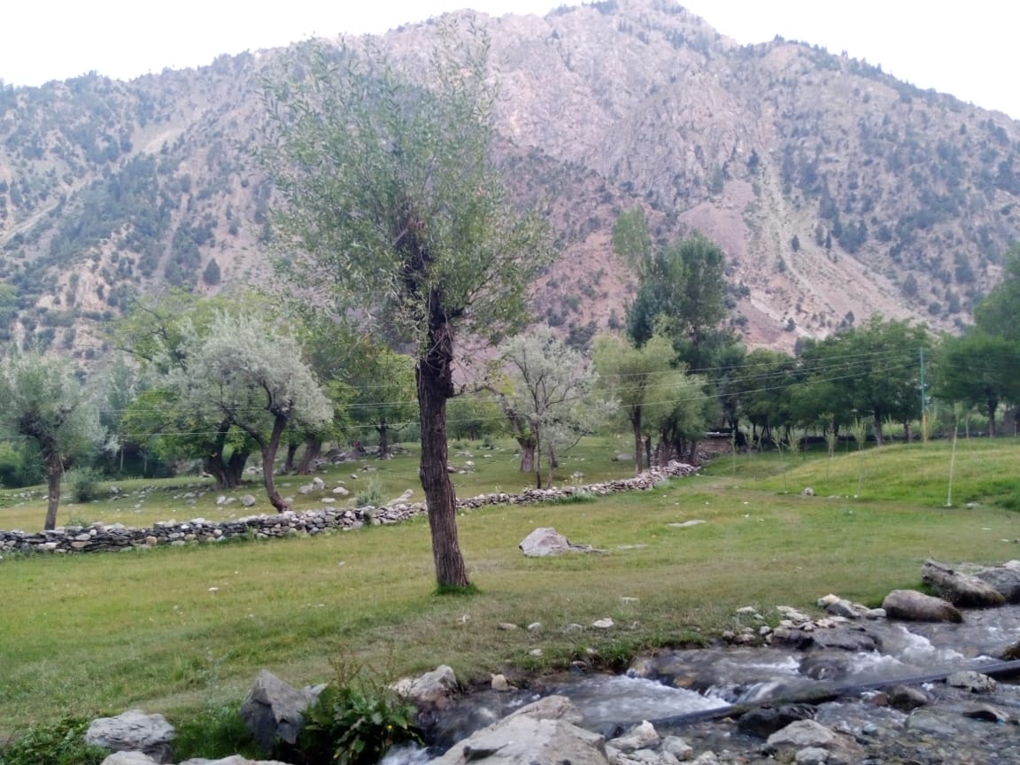 hanyhira's tweet photo. #kalashvalley https://t.co/gUnYvqlrhY