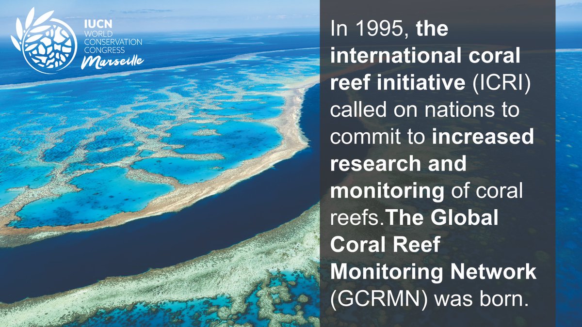 IUCN Ocean Team (@iucnocean) on Twitter photo #ForCoral
7 Sept, 11:15am (CEST), join <a href="/ICRI_Coral_Reef/">ICRI Secretariat</a> at the <a href="/IucnOcean/">IUCN Ocean Team</a> Ocean and Islands Pavilion and #IUCNCongress Exhibition Central Stage as they launch the sixth GCRMN Status of Coral Reefs of the World Report.
<a href="/UNEP/">UN Environment Programme</a> <a href="/IocUnesco/">UNESCO Ocean</a> <a href="/NOAA/">NOAA</a> #ForCoral
7 Sept, 11:15am (CEST), join <a href="/ICRI_Coral_Reef/">ICRI Secretariat</a> at the <a href="/IucnOcean/">IUCN Ocean Team</a> Ocean and Islands Pavilion and #IUCNCongress Exhibition Central Stage as they launch the sixth GCRMN Status of Coral Reefs of the World Report.
<a href="/UNEP/">UN Environment Programme</a> <a href="/IocUnesco/">UNESCO Ocean</a> <a href="/NOAA/">NOAA</a>