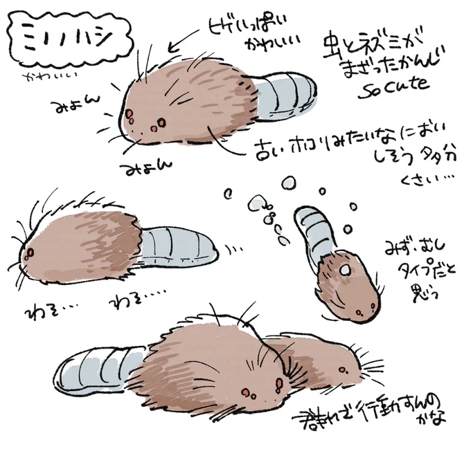 ミノノハシ 