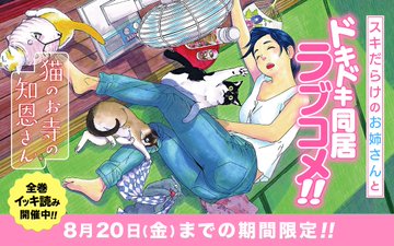 お姉さんとののどかな日常系ラブコメ 猫のお寺の知恩さん が全巻イッキ読み 電撃オンライン
