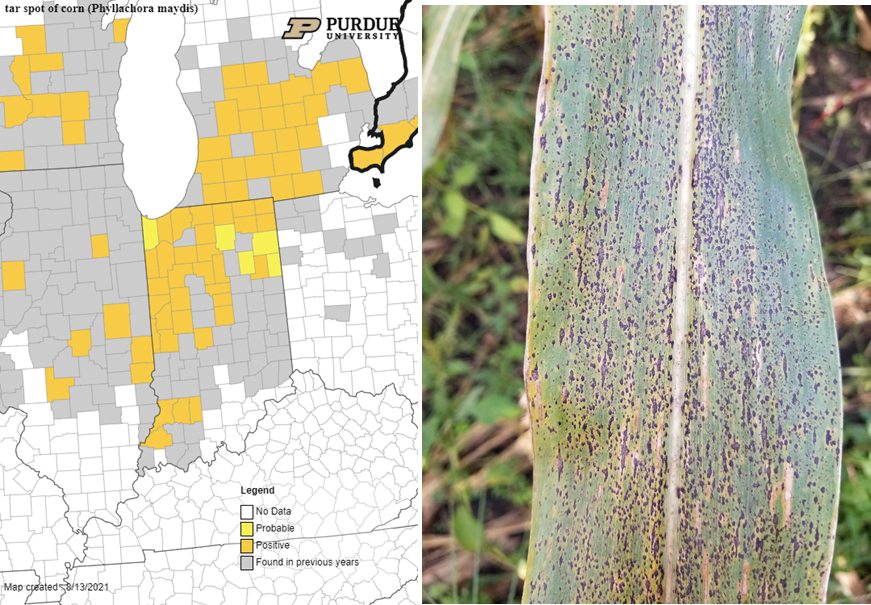 Darcy Telenko tweet media