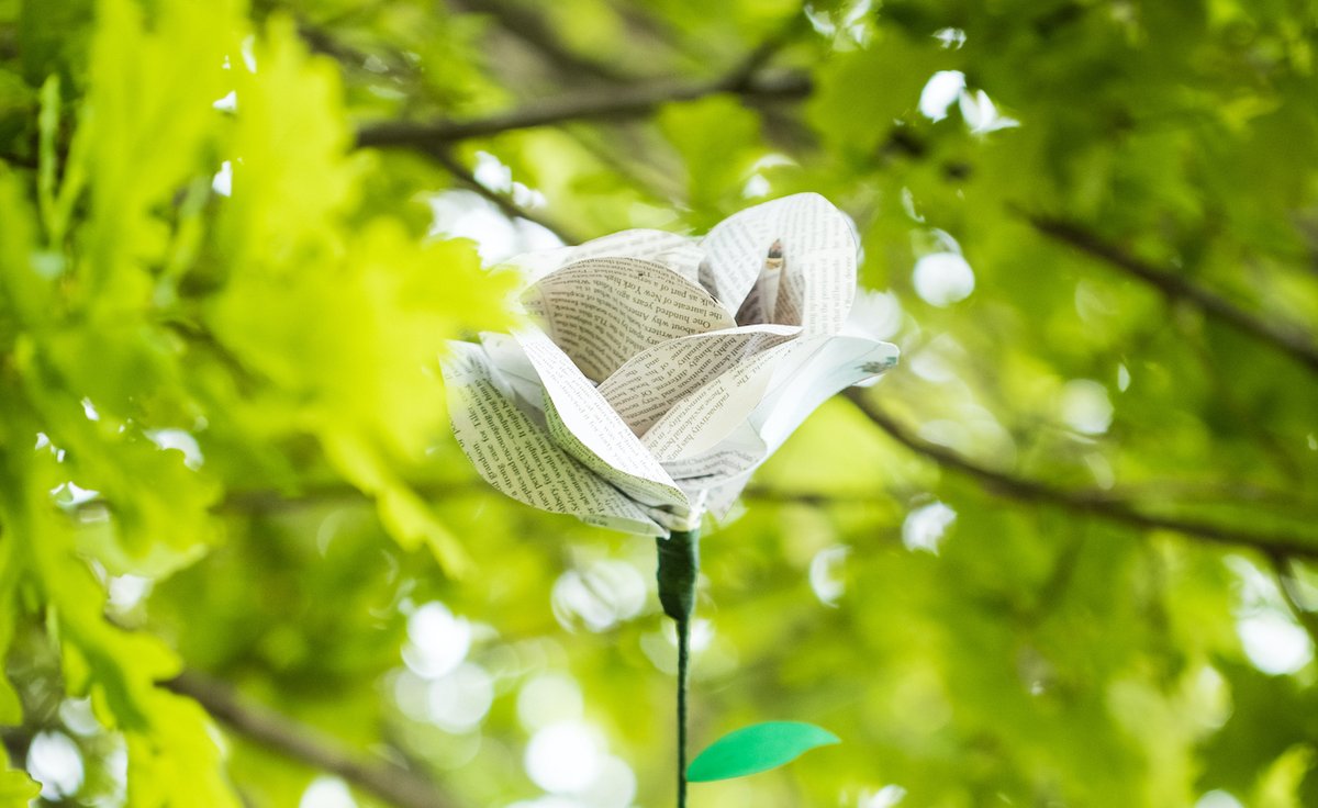 hayfestival's tweet image. Writers, activists, change-makers! As we countdown to COP-26, we&apos;re inviting you to #WriteForChange. Join us hayfestival.org/wales/hay-on-e…
