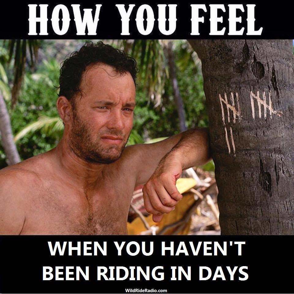 DKCustom1's tweet photo. When Your Bikes in the Shop...
#how #you #feel #cantride #riding #motorcycles #harleydavidson #lifebehindbars #ftw #rideordie #idratherberiding #dkcustom #stockbikessuck #justride #livefree #ridefree #ride #nofear #noregrets #road #time https://t.co/6KNdSn80xd