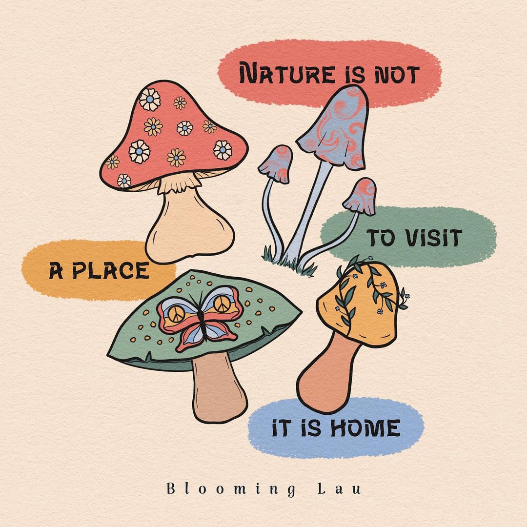 BestOfMeow's tweet photo. via IG: blooming.lau https://t.co/ZvUxY4PpWi