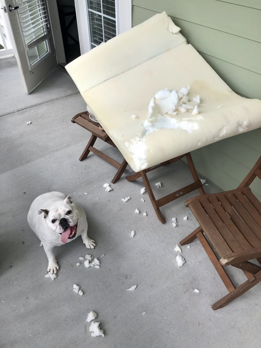 Happy Friday from the destroyer