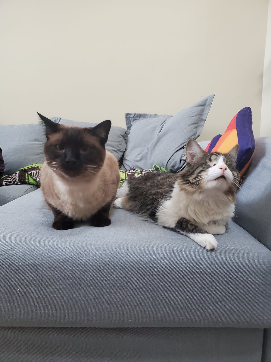 momb said ,, we can invite friends to watch emoji movie 🥺