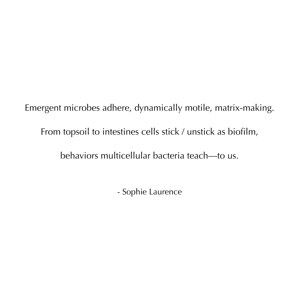 Poetry of Science (@poetryofsci) on Twitter photo Jason Samaroo, a Guyanese-American biophysicist, and poet at @bu_biology. Our series emphasizes the positioning of people of color within the natural landscape attempting to answer the question: Where do we fit in? poetryofscience.org/gallery <a href="/jason_samaroo/">Jason</a> <a href="/BU_Diversity/">Boston University Diversity & Inclusion</a> <a href="/WPRHarvard/">Woodberry Poetry Room</a> Jason Samaroo, a Guyanese-American biophysicist, and poet at @bu_biology. Our series emphasizes the positioning of people of color within the natural landscape attempting to answer the question: Where do we fit in? poetryofscience.org/gallery <a href="/jason_samaroo/">Jason</a> <a href="/BU_Diversity/">Boston University Diversity & Inclusion</a> <a href="/WPRHarvard/">Woodberry Poetry Room</a>