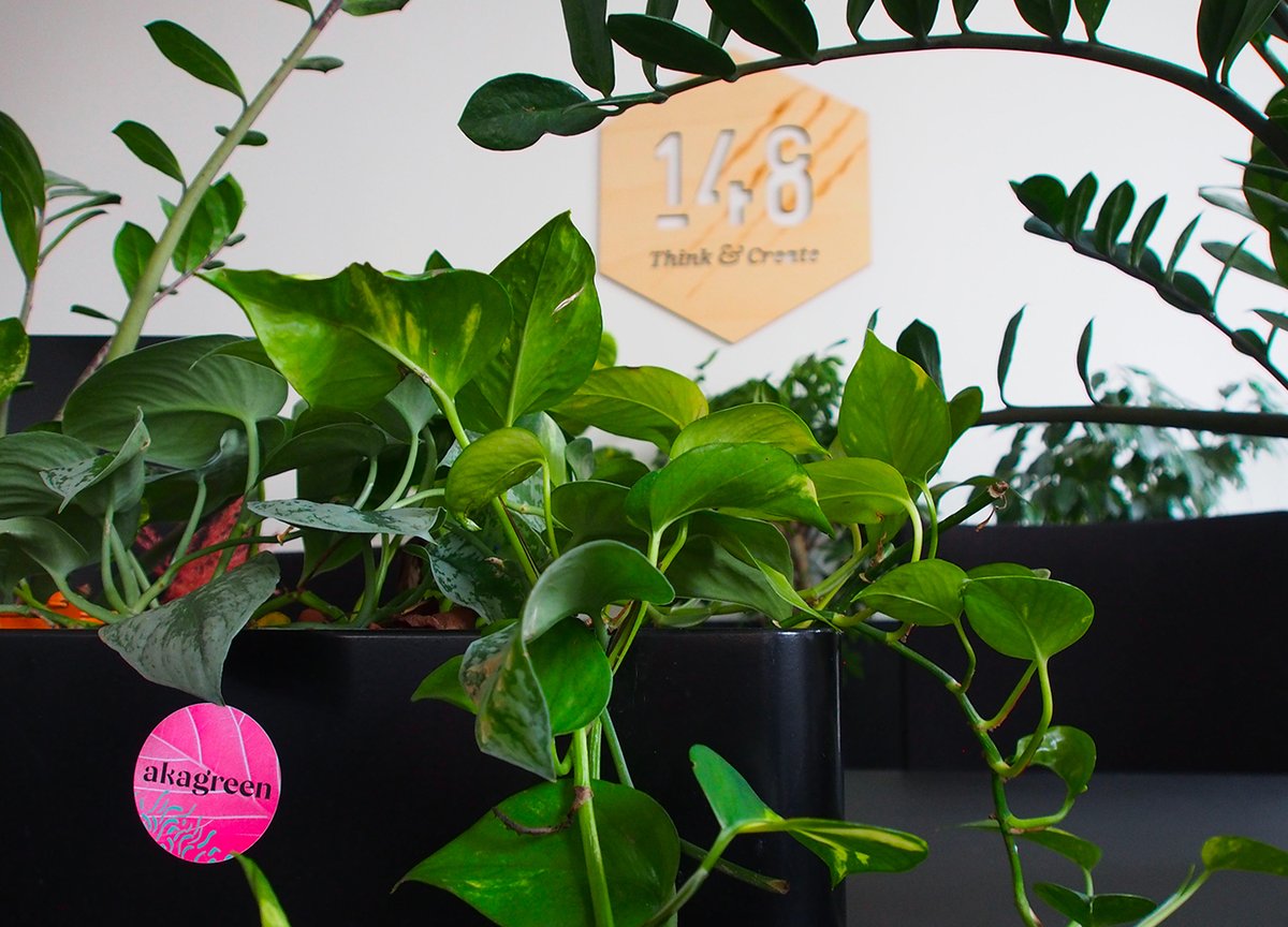 Agence 148 tweet media