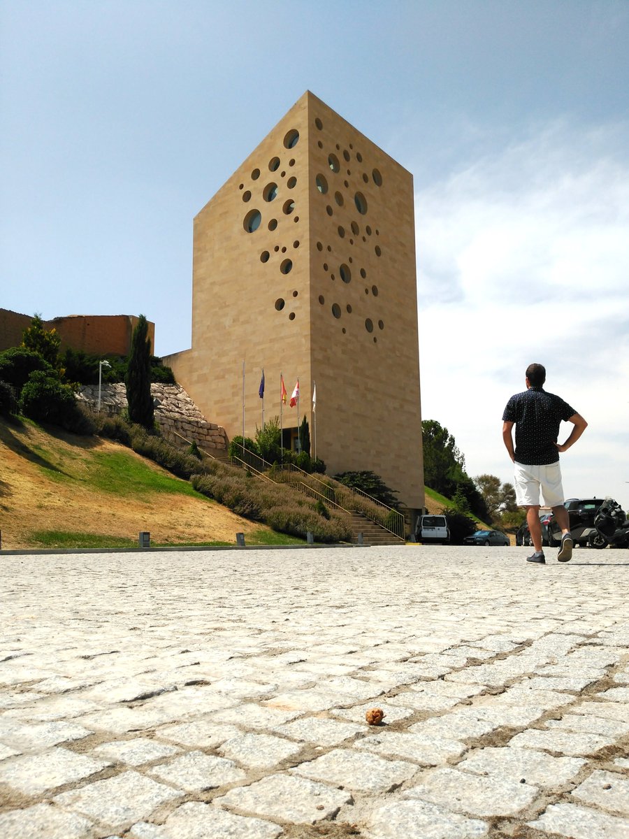 Jonathan Chanca tweet media