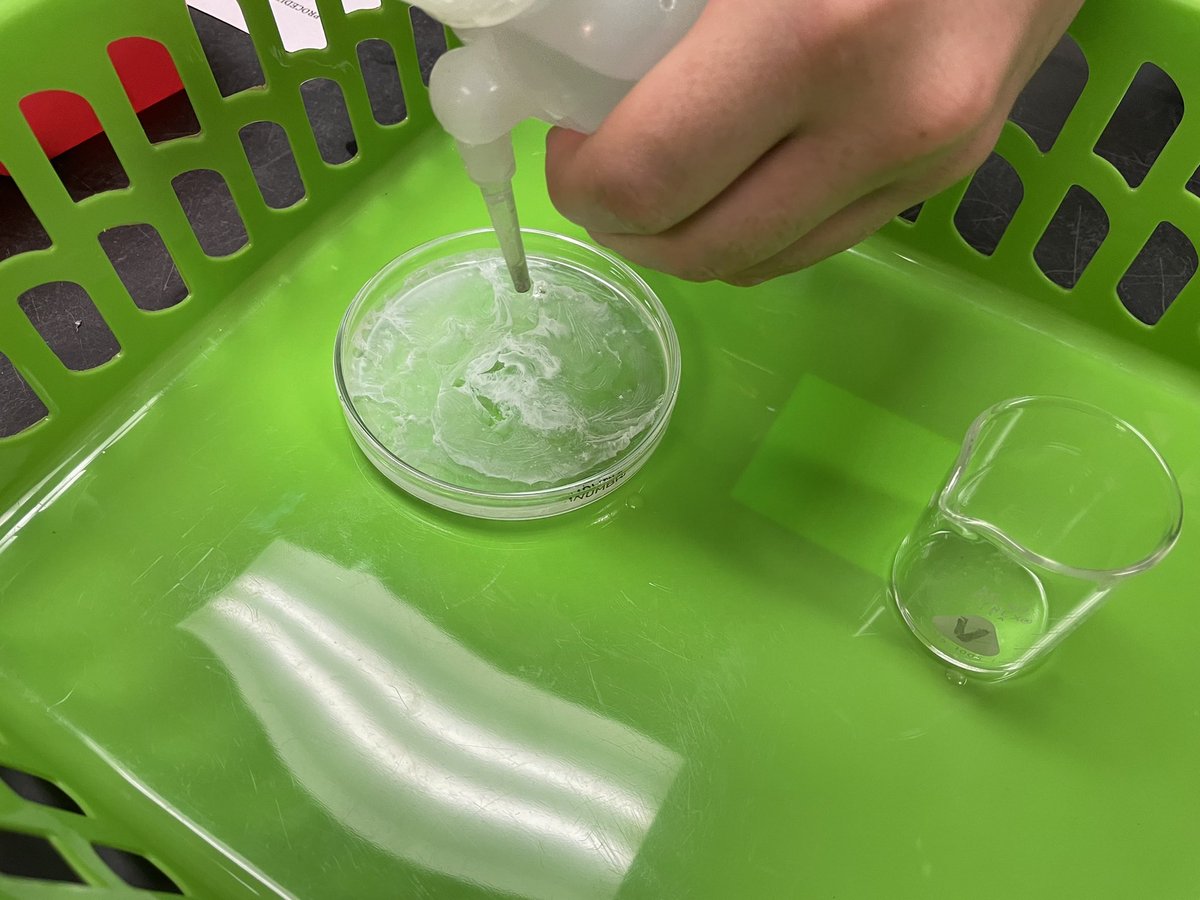 JenniferHallKMS's tweet image. Today we are discovering the importance of lab safety by simulating what could happen to your eyes if not wearing safety googles. #safetyfirst #IrreversibleEffects #ScrambledEyesLab #KMSCougarPride #Humble_2ndScience #KMSClassOf2026 🐾❤️🧑🏻‍🔬