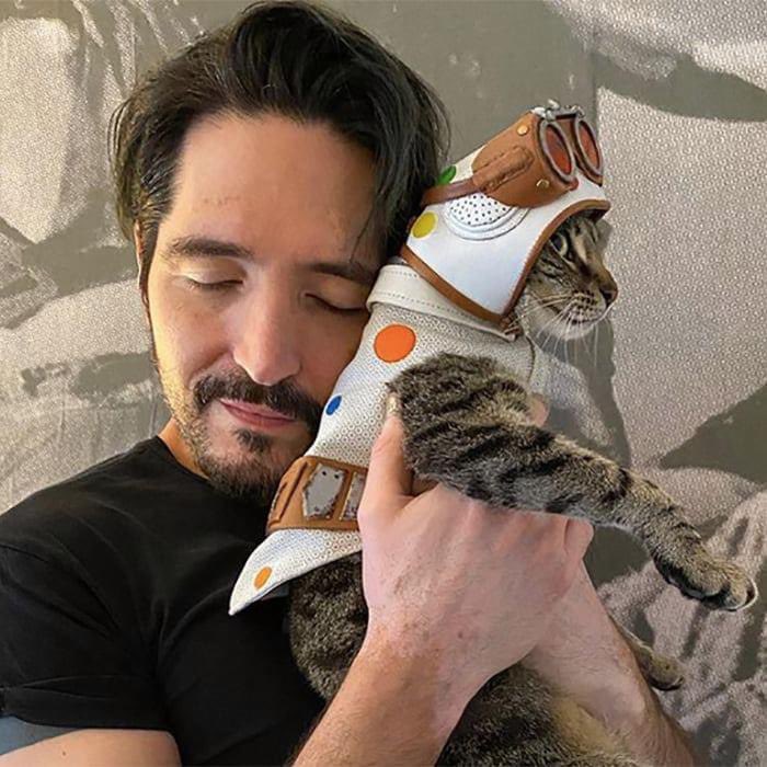 gynoidprincess's tweet image. David Dastmalchian adopted a stray cat who approached him during the filming of The Suicide Squad in Panama, and costume designer Judiana Makovsky sewed a little Polka Dot Man outfit for the cat, named Bubblegum.