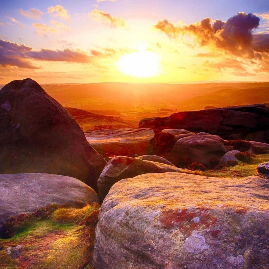 LateCottages tweet media