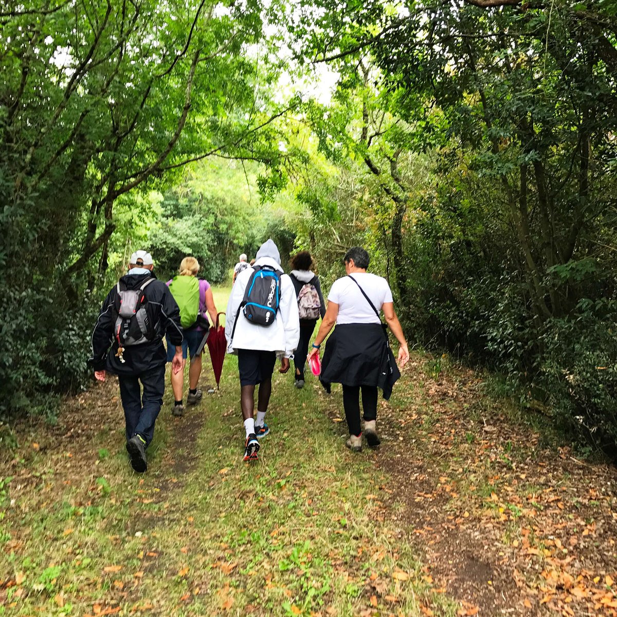 Médoc-Vignoble Tourisme (@medocvignoble) on Twitter photo ✨Ce jeudi 17 août, c'est la Journée et la Nuit des Carrelets ✨
Au programme : une balade #nature pour découvrir la #faune et la #flore de l'Estuaire, commentée par un guide #naturaliste. Départ à 15h🚶
Pour réserver
📞: 05 56 59 03 08
💻: contact@medocvignoble.com ✨Ce jeudi 17 août, c'est la Journée et la Nuit des Carrelets ✨
Au programme : une balade #nature pour découvrir la #faune et la #flore de l'Estuaire, commentée par un guide #naturaliste. Départ à 15h🚶
Pour réserver
📞: 05 56 59 03 08
💻: contact@medocvignoble.com
