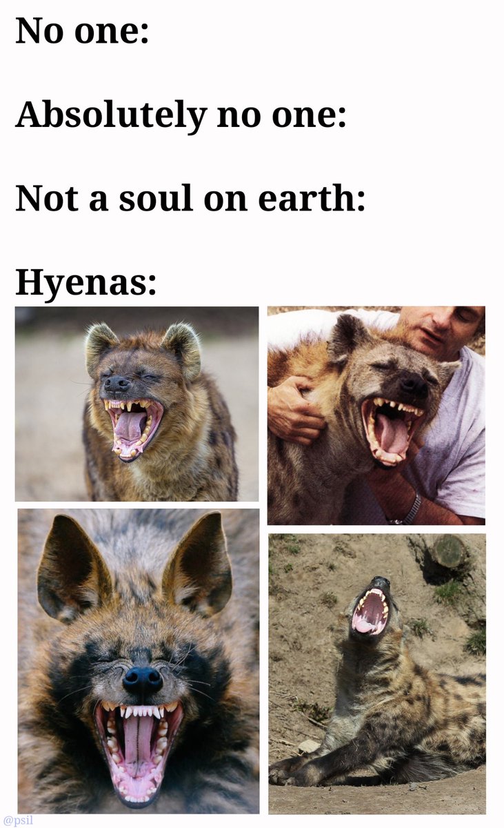 psil's tweet photo. #Heynas https://t.co/e7Vfdh54Pg