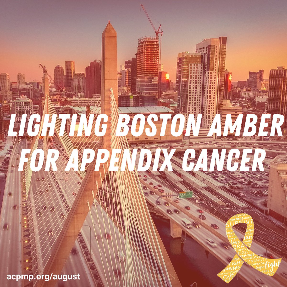 acpmpresearch's tweet image. #Boston, MA &amp;amp; #Minneapolis, MN bridges to light up AMBER on Sun 8/15 for first #AppendixCancerAwarenessMonth 

Zakim Bridge – Boston
Longfellow Bridge – Boston
Fore River Bridge – Quincy
Burns Bridge – Worcester
I-35W – Minneapolis
Lowry Ave Bridge – Minneapolis

Please share!🎗