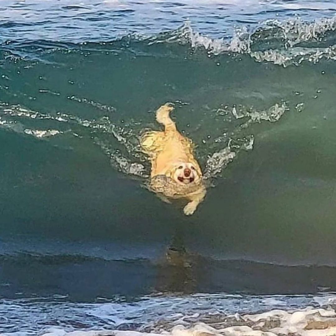 Stüssy (@stussy) on Twitter photo 