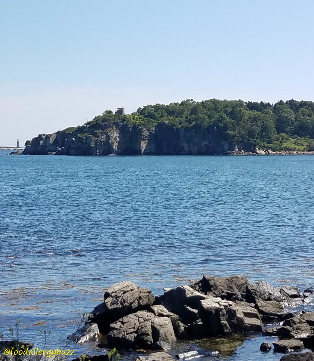 FoodAllergyBuzz's tweet photo. Sending cooling vibes this Friday! Valuable #foodallergies tweeps 2 follow: @AAFANational @AllergicLiving @AllergyAsthmaHQ @AllergicReactor @Allergictravelr @allisonmpurvis @DairyFreeGina @faactnews @FoodAllergyCAN @FoodEquality @harriet75 @kfatweets @UMFoodAllergy @SarahGarvey03 https://t.co/govuBXdfMw
