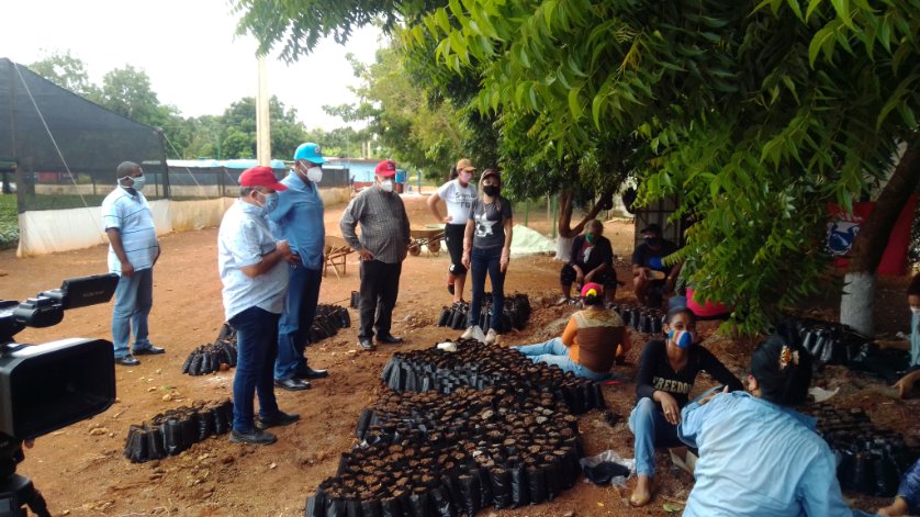 Desde UEB frutales los jóvenes aportan a la economía del país, acompañado de Jorge Luis Tapia Vice Primer Ministro y Carlos Luis Garrido Pérez Primer Secretario del PCC en #CiegodeAvila <a href="/aylinalvarezG/">Aylín Alvarez García</a> <a href="/lisaracorona1/">Lisara Corona</a> <a href="/NislayMolina/">Nislay Molina Nápoles</a> <a href="/yamila_padron/">Yamila Cruz Padrón</a>