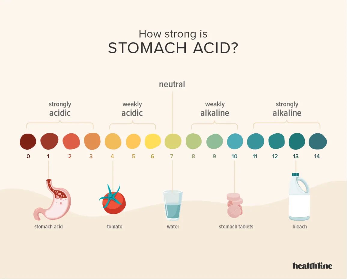 Eric On Twitter Your STOMACH ACID Is Strongly Acidic Do Not eric-on-twitter-your-stomach-acid-is-strongly-acidic-do-not