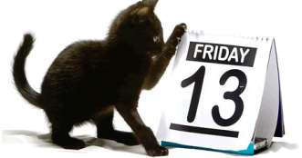 epsteinlarue's tweet photo. HAPPY FRIDAY the 13th from Skitzo!!!  What is your best Friday the 13th Medical Story? https://t.co/cDzfG2CIVn