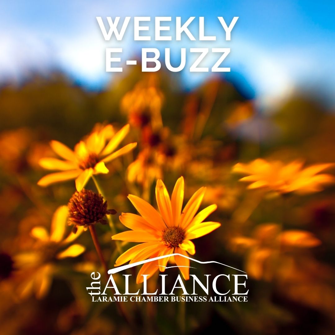 laramie.org is the best place for all member info, news about our programs, and all the local business resources you could ask for! Check out this week's ebuzz for more. #laramie