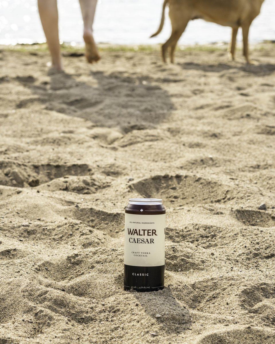 waltercaesar's tweet photo. Dog days of summer call for a crispy cool Caesar cocktail.
#WalterCraftCaesar #ForCaesarLovers #Cheers https://t.co/q0FZEFZucc