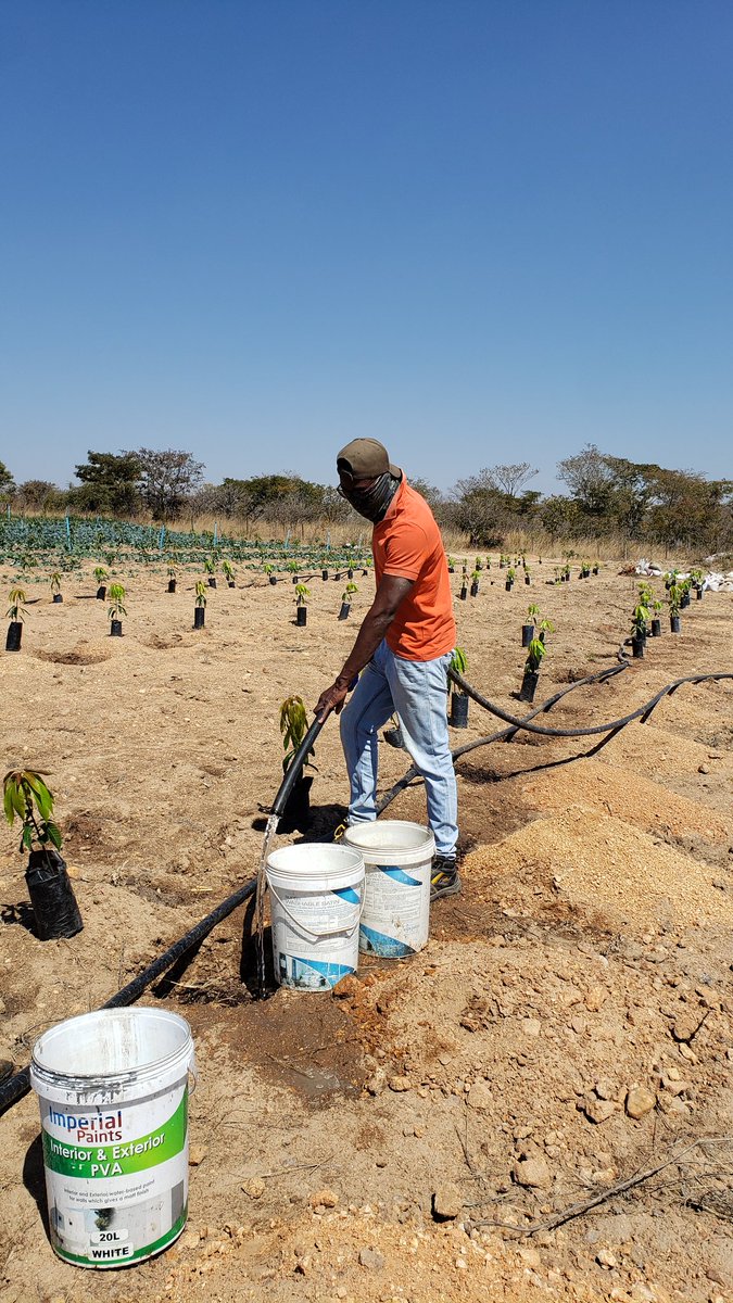 Mr.BumbleBee tweet media