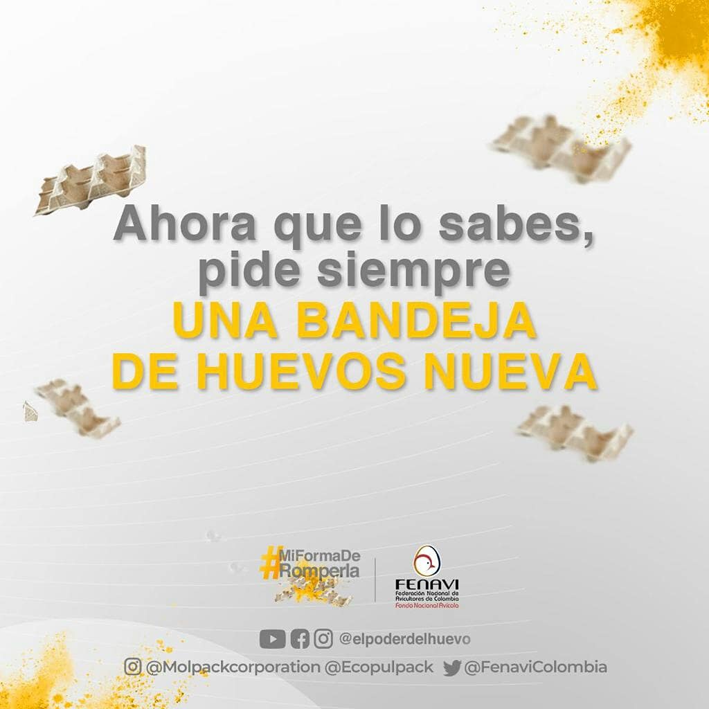 PronavicolaSAS's tweet photo. Aprende a identificar una bandeja nueva para evitar que sea utilizada una vez más como empaque de huevos.
❇️ Conoce más sobre #MiFormaDeRomperla en https://t.co/Kzn8A6yKZp
#ElPoderDelHuevo #ColombiaLaRompe #BandejasDeHuevos #Comolsa #Ecopulpack #FENAVI
#MiFormaDeRomperla https://t.co/o3cVl5Ka2x