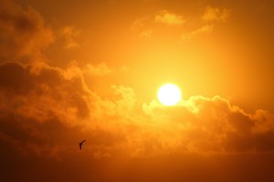 Reading Uni News (@unirdg_news) on Twitter photo New statistical approach developed by <a href="/UniRdg_Maths/">Maths@Reading</a> and @UU_University shows if individual extreme weather events could be expected as part of natural variability within the climate or may have been caused by climate change
reading.ac.uk/news-and-event⦠New statistical approach developed by <a href="/UniRdg_Maths/">Maths@Reading</a> and @UU_University shows if individual extreme weather events could be expected as part of natural variability within the climate or may have been caused by climate change
reading.ac.uk/news-and-eventā¦