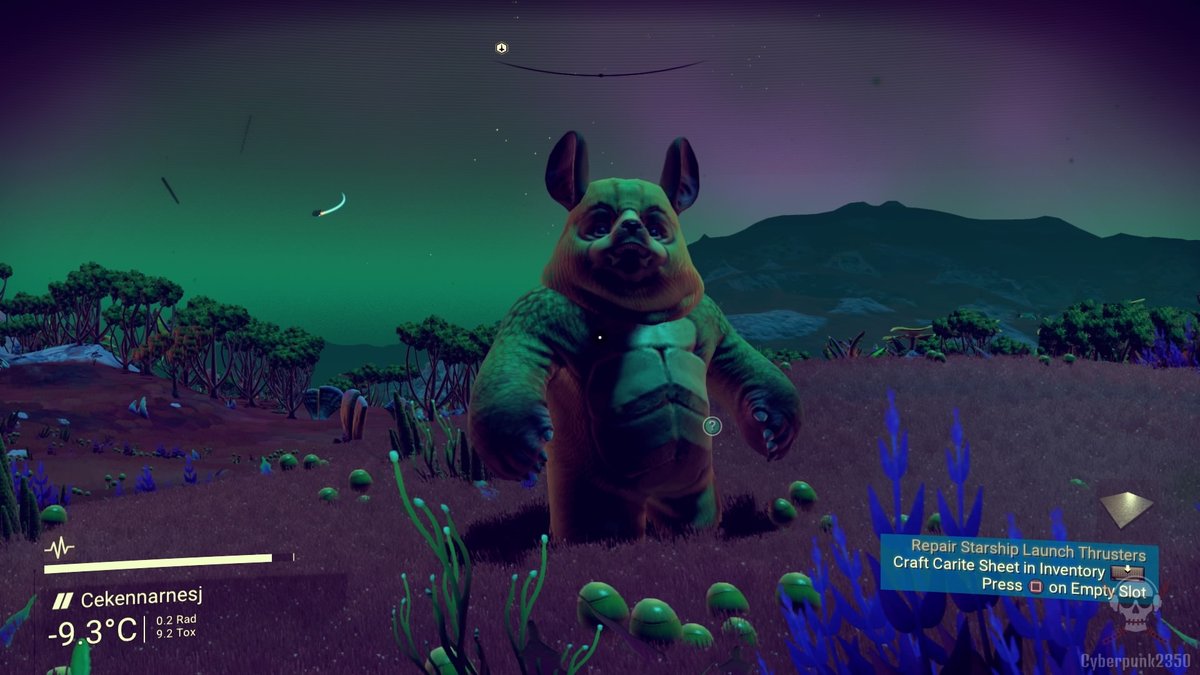 cyberpunk2350's tweet photo. Teddy Gek Bear #FaunaFriday
Taken: 2017 02 08
Version: 1.13 (Foundation)
Platform: #PS4
#NoMansSkyFoundation
#NoMansSky2017
#NMS
#NoMansSky
#NoMansSkyCommunity
#NMSPhotography
#NMSScreenShot
#HelloGames
#InGamePhotography
#VirtualPhotography
@NoMansSky
@HelloGames https://t.co/OiEU1CrIcL