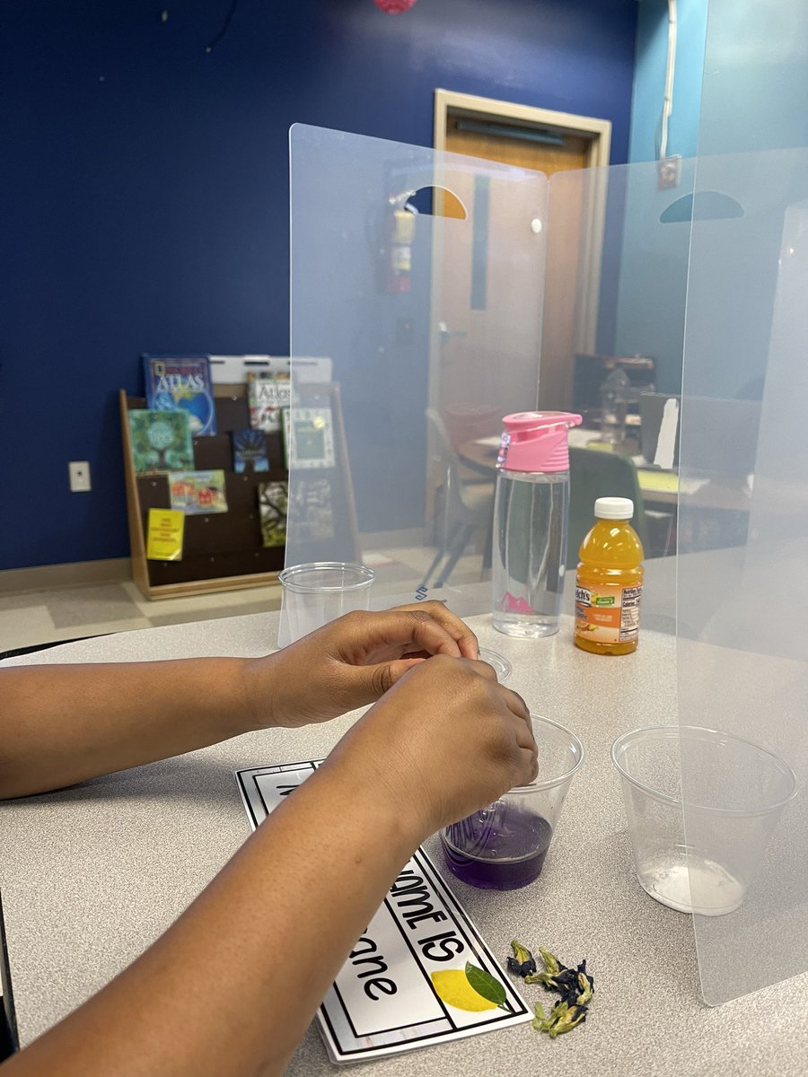 RodriguezRockss's tweet photo. Lemons are our classroom theme this year and the kids asked on the first day could they have a lemonade tasting. So today we had a Sip and Science. 🍋💦 https://t.co/Kzb0JJ4EvC