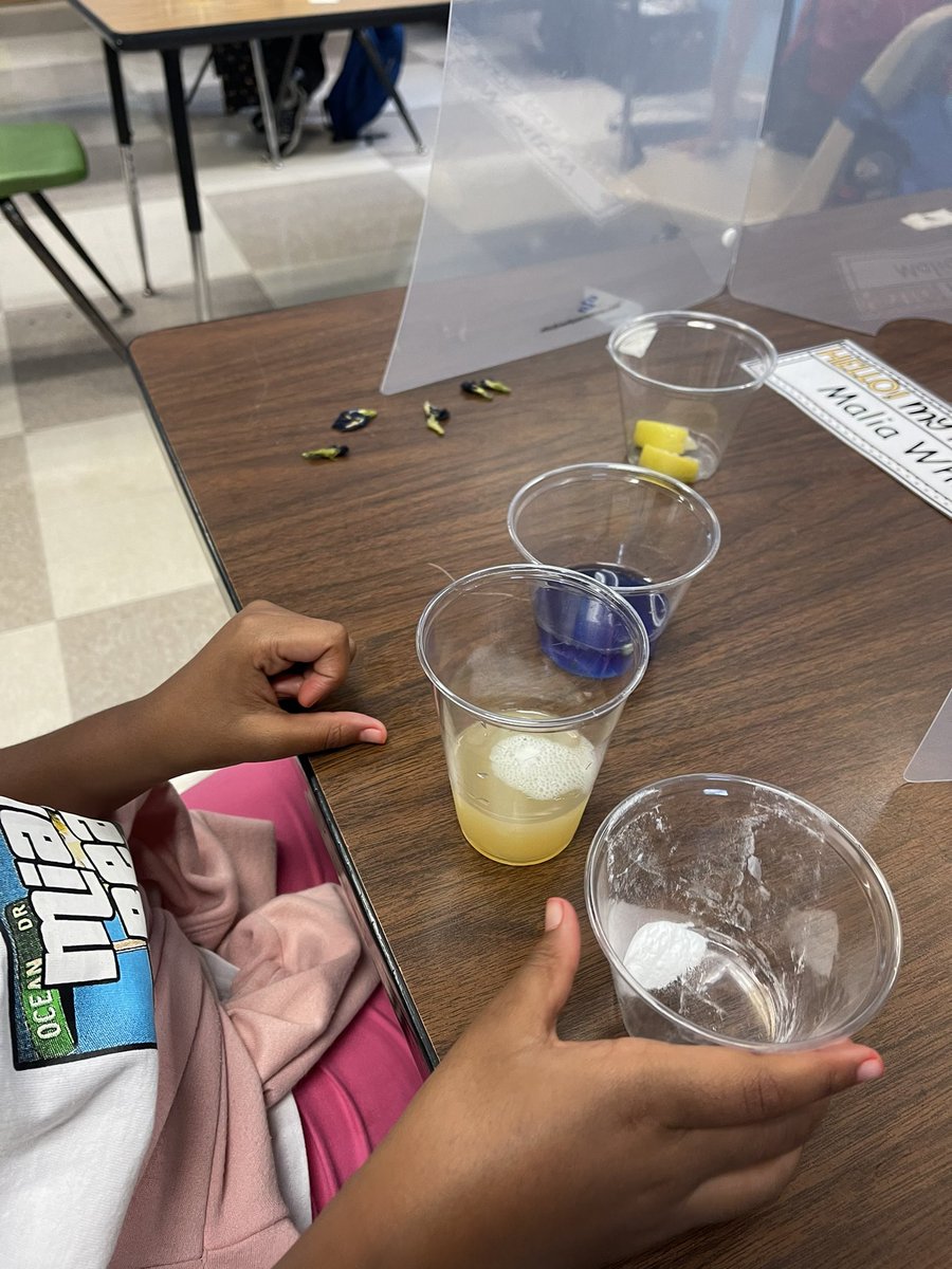 RodriguezRockss's tweet photo. Lemons are our classroom theme this year and the kids asked on the first day could they have a lemonade tasting. So today we had a Sip and Science. 🍋💦 https://t.co/Kzb0JJ4EvC