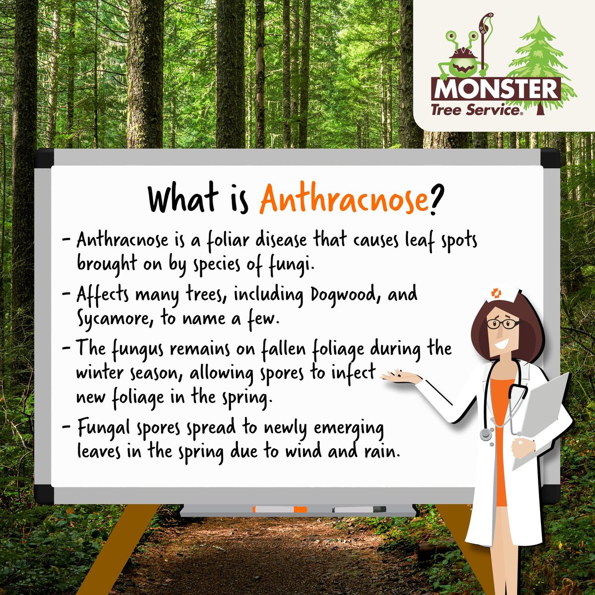 Monster_Careers's tweet image. #Monstertreeservice #Monstergrowth #Monsteropportunity