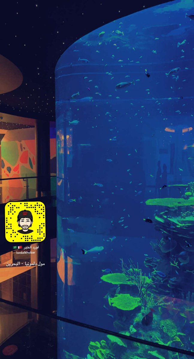 لـورد الـخـبــر tweet media