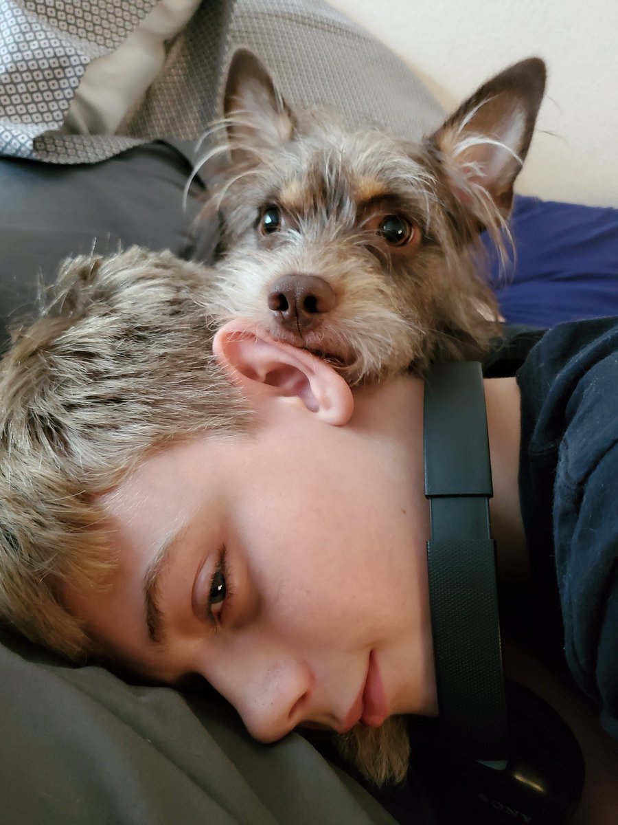 angled_angel's tweet photo. Helping a friend move and a quiet moment at home. Two of my boys showing their true selves 💚💙 https://t.co/LFe1k2fYK0