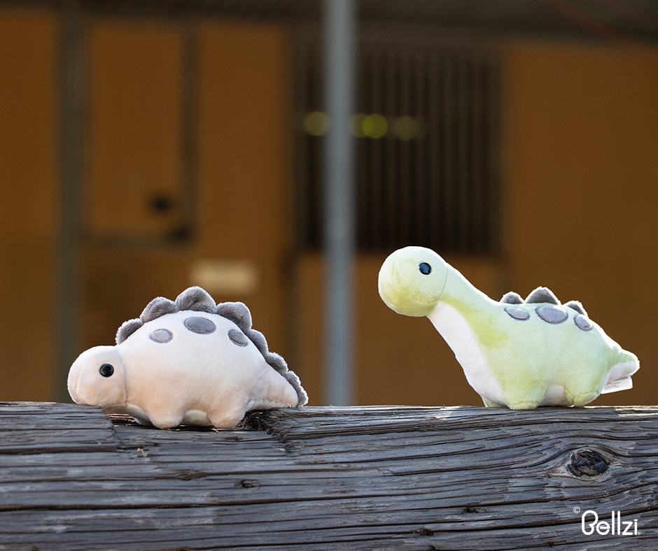 bellzi_official's tweet photo. Steggi has tiny legs, but can still run fast. 👟👟👟👟
.
.
#bellzi #fluffiest #plushielife #plushphotography #bellzianimals #bellzifriends #AUGUST
https://t.co/oE9E0fWYk2 https://t.co/GBrXdm5if2