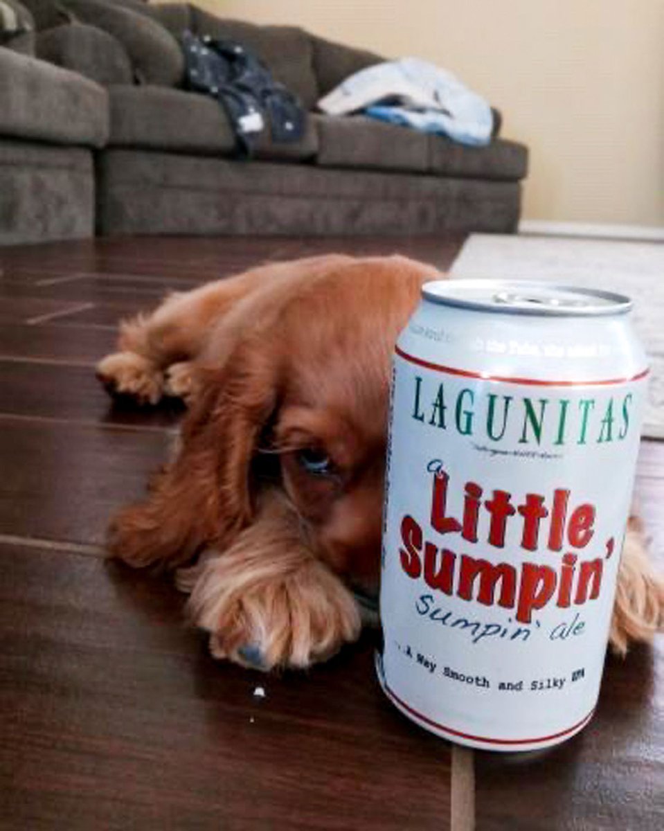 lagunitasbeer tweet picture